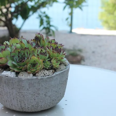 Appartement Bella Vista