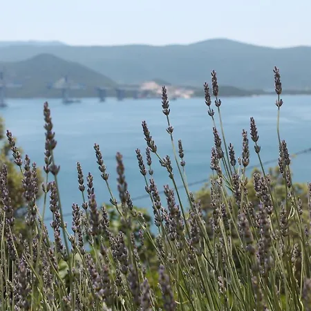 Bella Vista Appartement Komarna