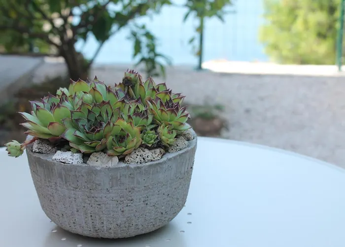 아파트 Bella Vista