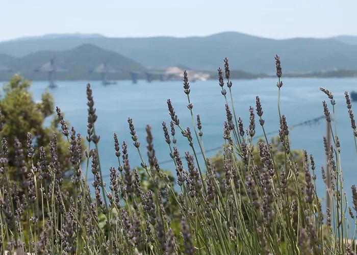 Bella Vista 아파트 코마르나